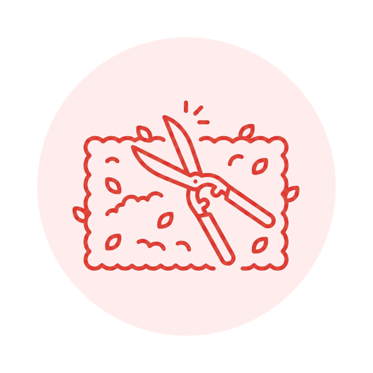 Les haies difficiles à entretenir