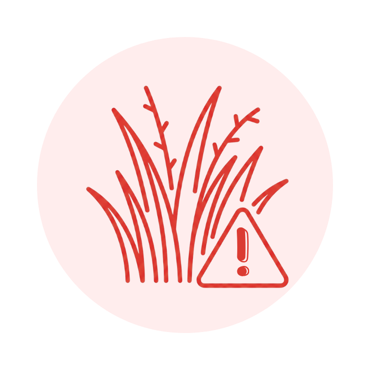 Les terrains envahis (obligation débroussaillage)