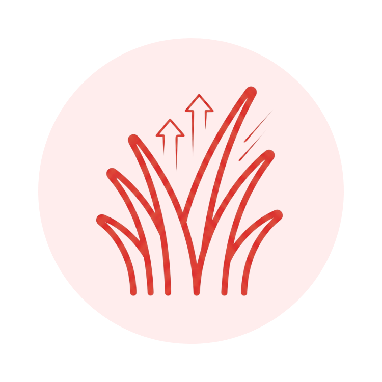 L’herbe qui pousse trop vite